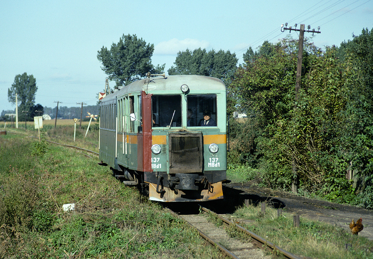 MBd1-137 at Lisewo