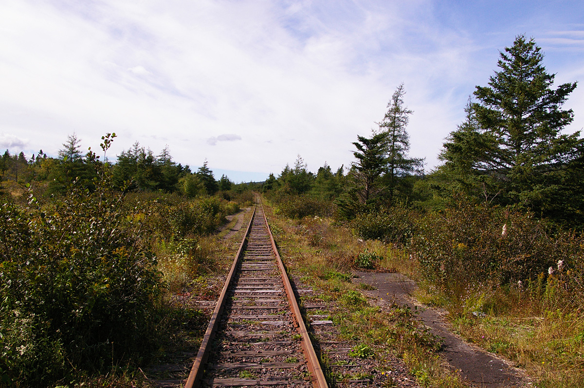Section of Newfoundland Railway track at Avondale